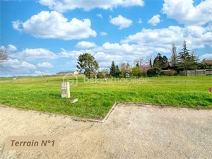zi-zac à la vente -   45130  LE BARDON, surface 513 m2 vente zi-zac - UBI420733708